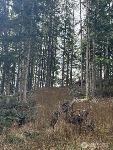 53007 128th Avenue E, Eatonville, WA 98328