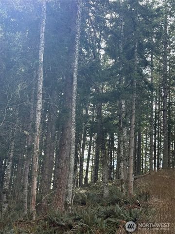 53007 128th Avenue E, Eatonville, WA 98328