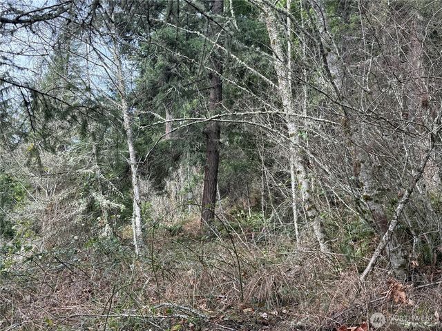 53007 128th Avenue E, Eatonville, WA 98328