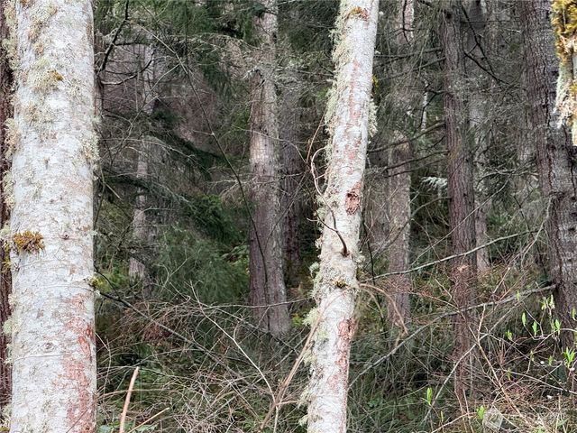 53007 128th Avenue E, Eatonville, WA 98328