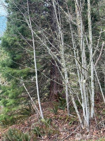 53007 128th Avenue E, Eatonville, WA 98328