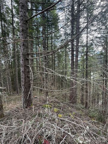 53007 128th Avenue E, Eatonville, WA 98328