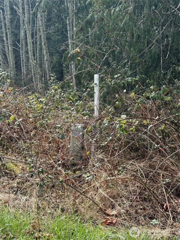 53007 128th Avenue E, Eatonville, WA 98328