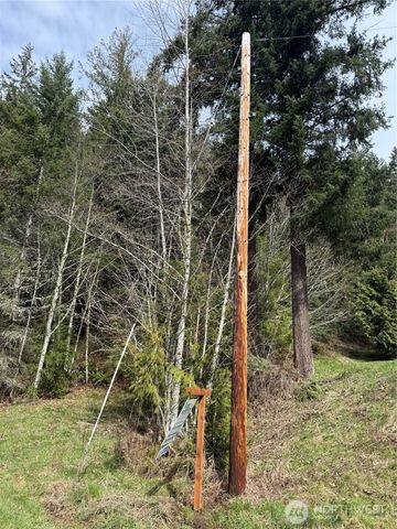 53007 128th Avenue E, Eatonville, WA 98328