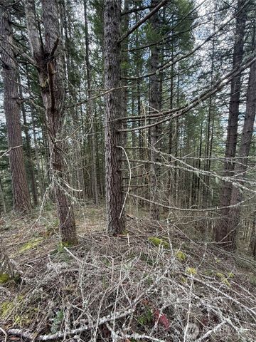 53007 128th Avenue E, Eatonville, WA 98328