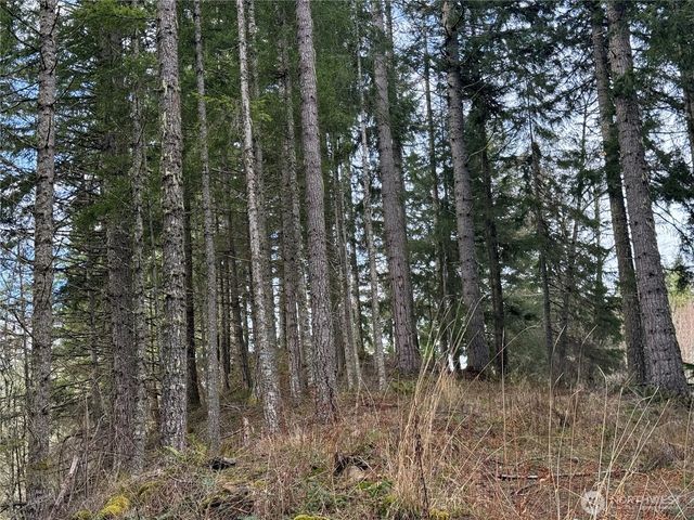 53007 128th Avenue E, Eatonville, WA 98328