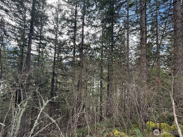 53007 128th Avenue E, Eatonville, WA 98328