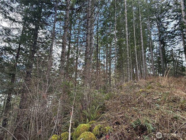 53007 128th Avenue E, Eatonville, WA 98328