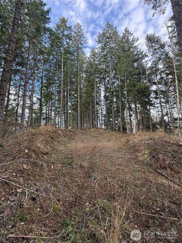 53007 128th Avenue E, Eatonville, WA 98328