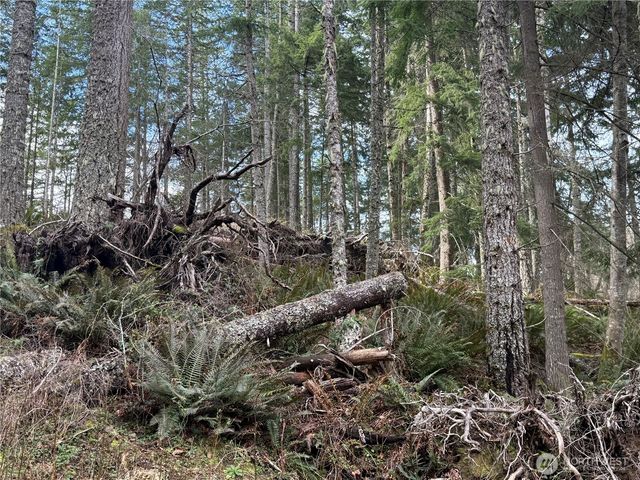 53007 128th Avenue E, Eatonville, WA 98328