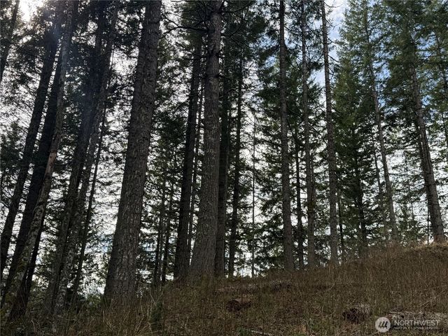 53007 128th Avenue E, Eatonville, WA 98328