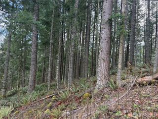 53007 128th Avenue E, Eatonville, WA 98328