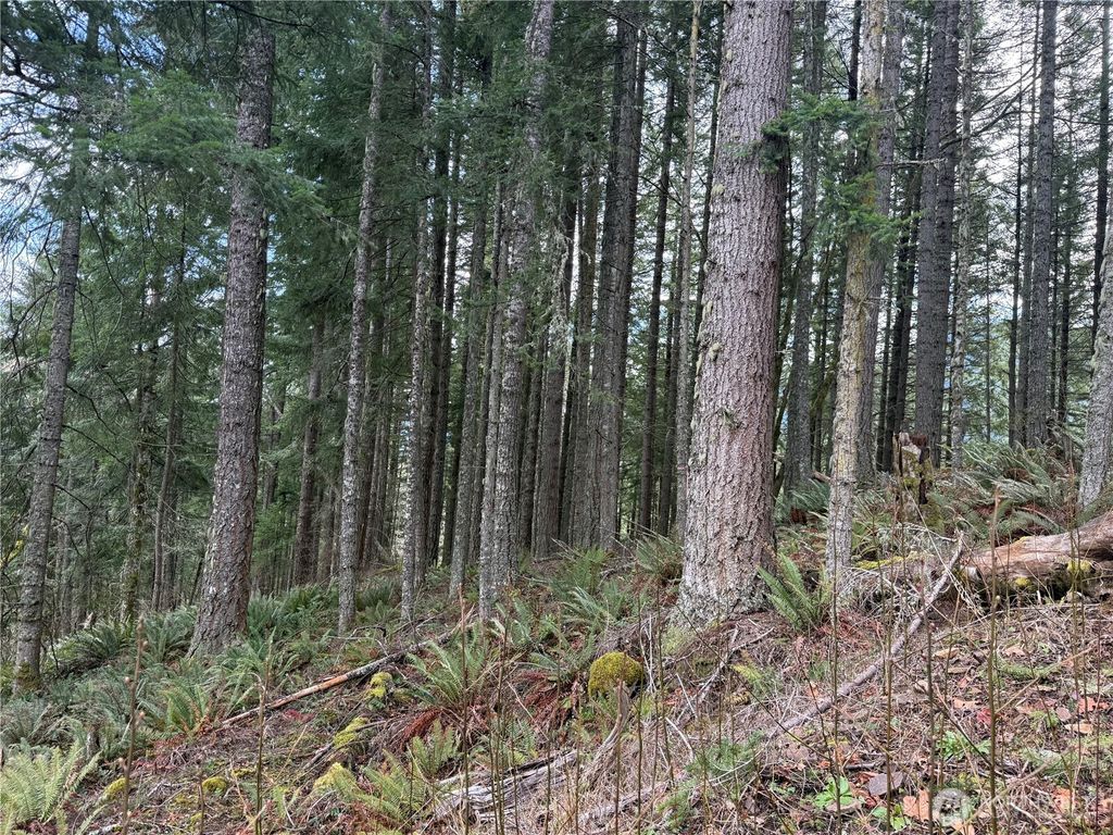 53007 128th Avenue E, Eatonville, WA 98328