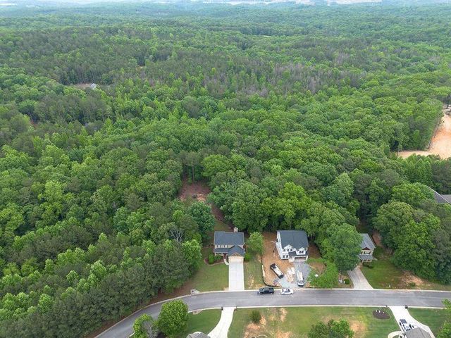 305 Birchwood Farms Lane, Dallas, GA 30132