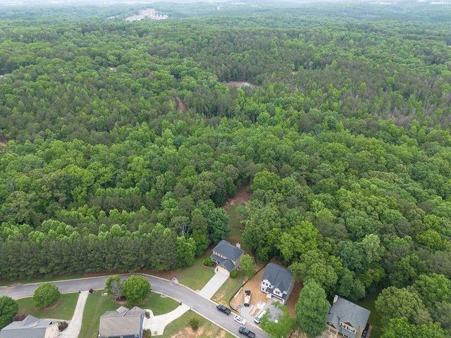 305 Birchwood Farms Lane, Dallas, GA 30132