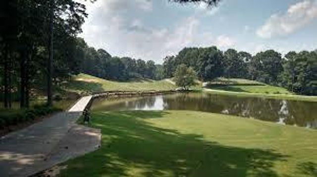 305 Birchwood Farms Lane, Dallas, GA 30132