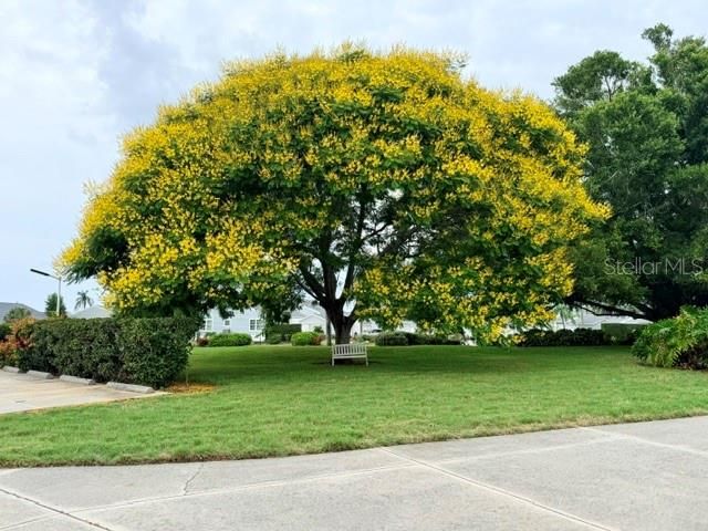950 WATERSIDE LANE, Bradenton, FL 34209