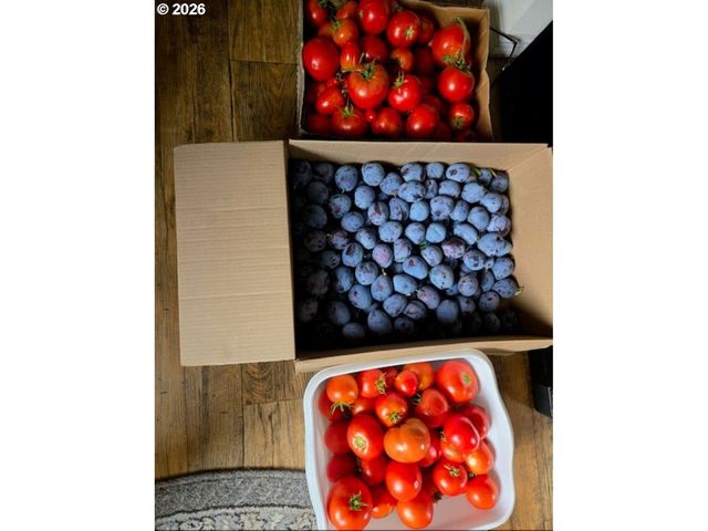 2723 OAKLAND Loop, Salem, OR 97317