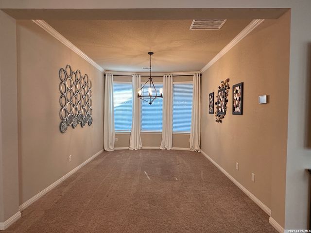 2354 Pesaro Point, San Antonio, TX 78259