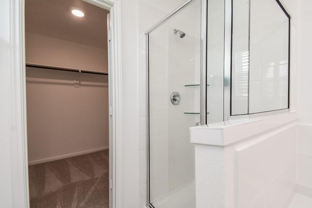 23923 Escardilla Drive, Hockley, TX 77447