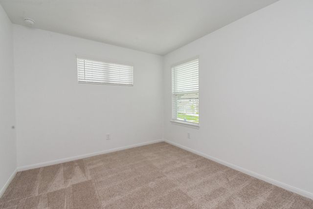 23923 Escardilla Drive, Hockley, TX 77447