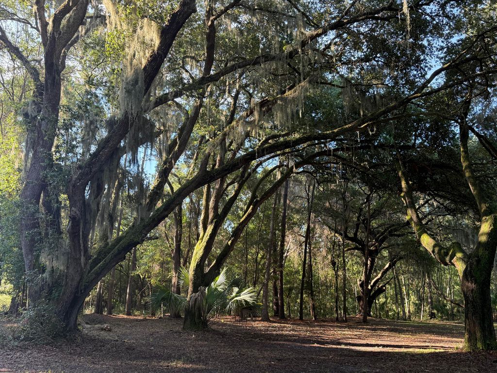 7939 Legare Road, Edisto Island, SC 29438