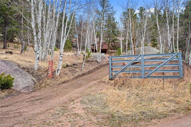 553 Arrowhead Road, Florissant, CO 80816