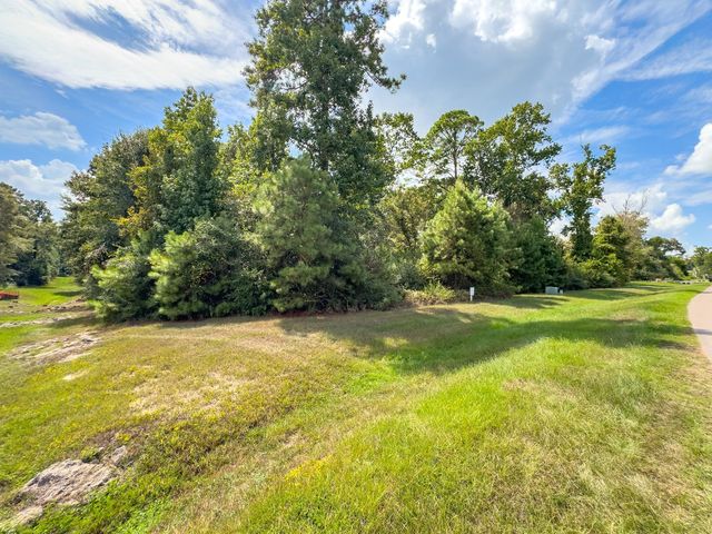 27362 Shady Hills Landing Lane, Spring, TX 77386