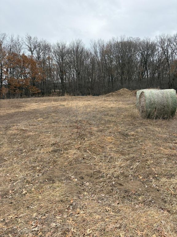 33005 Fenway Avenue, Stacy, MN 55079 — photo 2