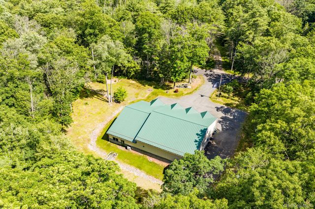 17 Collins Road, Eldred, NY 12732