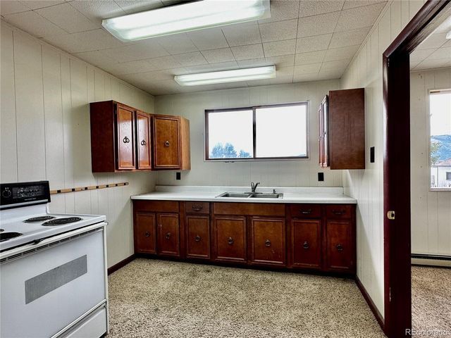 919 Harrison Ave, Leadville, CO 80461