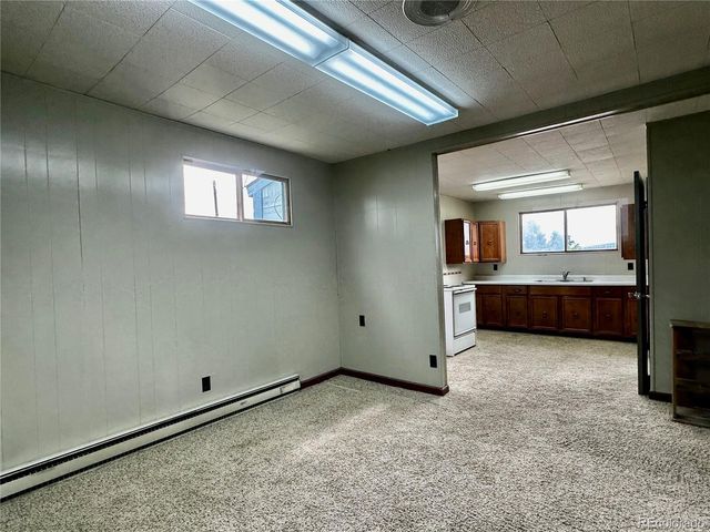 919 Harrison Ave, Leadville, CO 80461