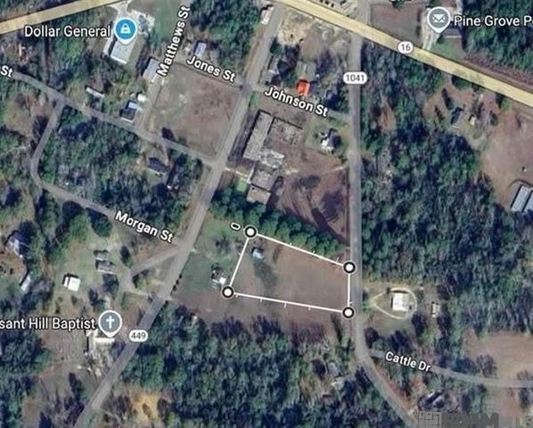 TBA La Hwy 1041, Pine Grove, LA 70453