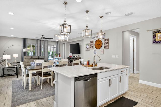 29894 CHAPEL CHASE DRIVE, Wesley Chapel, FL 33545
