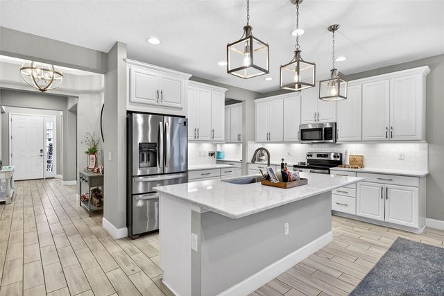 29894 CHAPEL CHASE DRIVE, Wesley Chapel, FL 33545