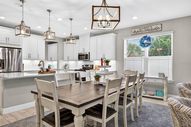 29894 CHAPEL CHASE DRIVE, Wesley Chapel, FL 33545