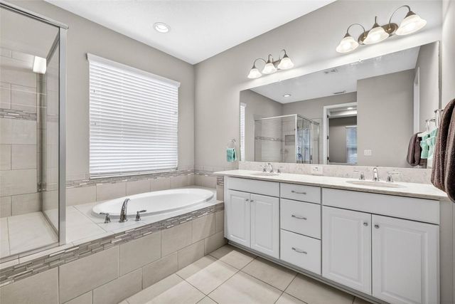 29894 CHAPEL CHASE DRIVE, Wesley Chapel, FL 33545
