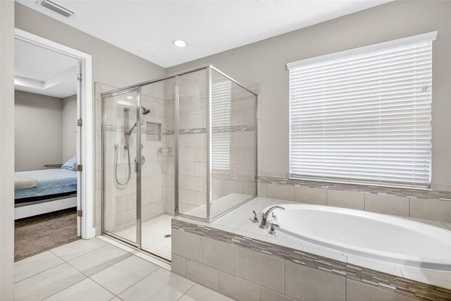 29894 CHAPEL CHASE DRIVE, Wesley Chapel, FL 33545