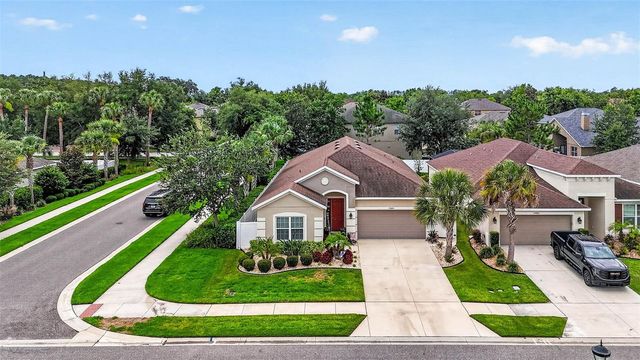 29894 CHAPEL CHASE DRIVE, Wesley Chapel, FL 33545