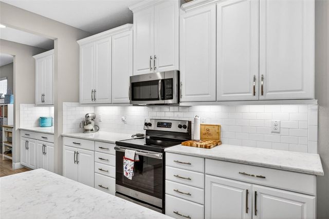 29894 CHAPEL CHASE DRIVE, Wesley Chapel, FL 33545