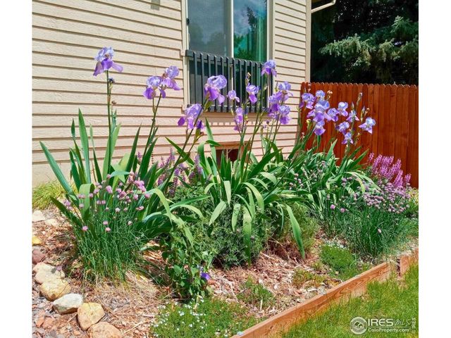 2253 Spinnaker Cir, Longmont, CO 80503