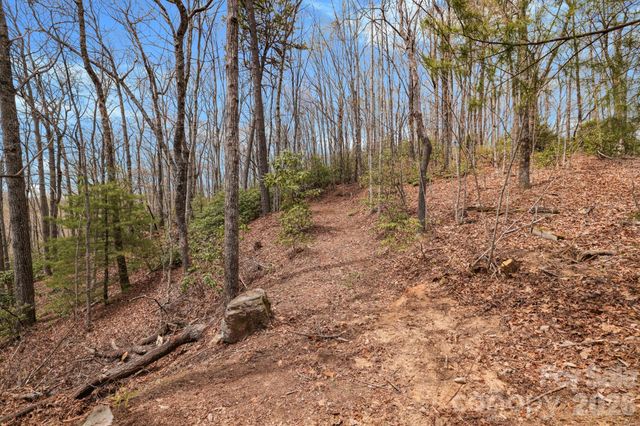305 Stamey Creek Road, Brevard, NC 28712