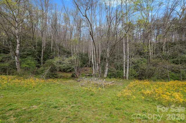 305 Stamey Creek Road, Brevard, NC 28712
