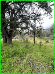 13672 Fair Oak, Clearlake, CA 95424