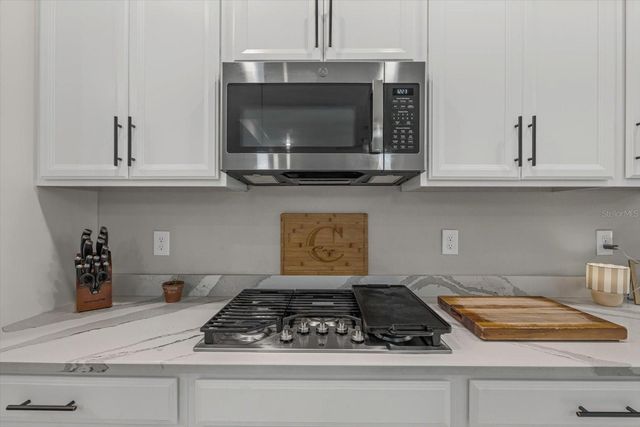 8219 TEA OLIVE TERRACE, Palmetto, FL 34221