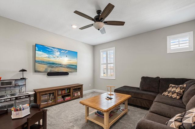 8219 TEA OLIVE TERRACE, Palmetto, FL 34221