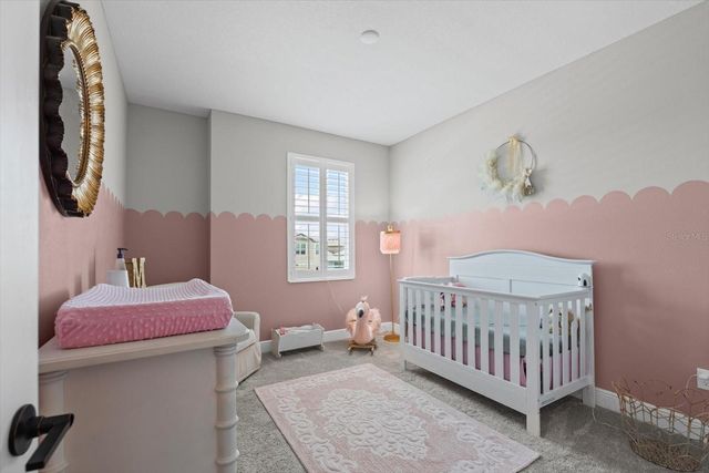 8219 TEA OLIVE TERRACE, Palmetto, FL 34221