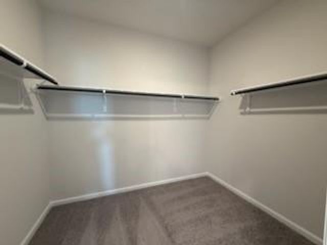 10915 Amador Peak Drive, Iowa Colony, TX 77583