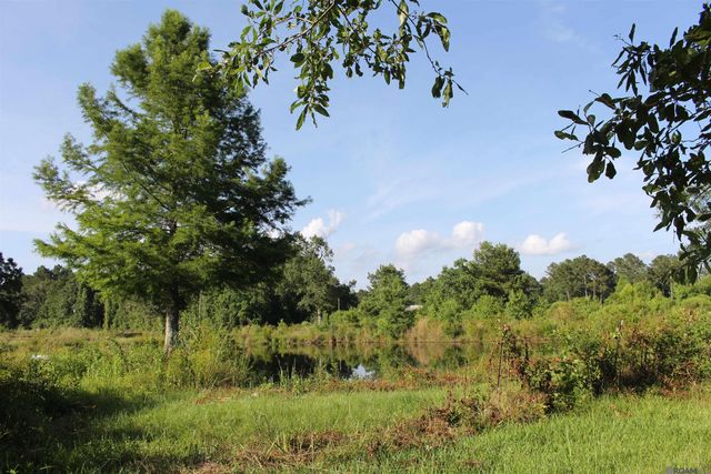 13505 Springfield Rd, Walker, LA 70785