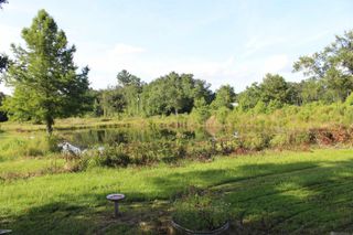 13505 Springfield Rd, Walker, LA 70785